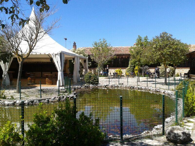 Hotel Los Rastrojos Aranda de Duero Eksteriør bilde